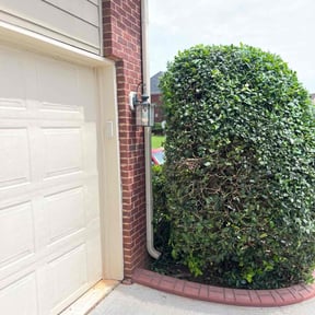 Bush Trimming by J’s Lawn Care reviewed on August 19, 2025