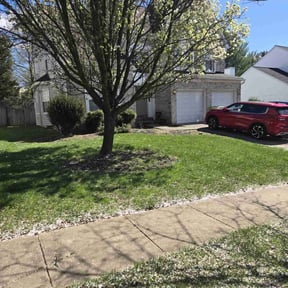 grass maintenance by Parker services reviewed on June 3, 2025