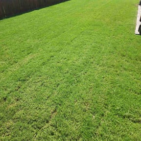 yard care by Home Medic reviewed on August 19, 2024