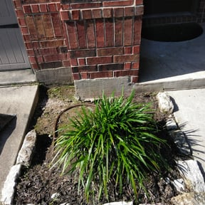 Flower Bed Weeding by H. J. CornerStone reviewed on August 15, 2025