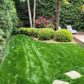 landscape maintenance by Dunnican's lawn care reviewed on January 1, 2026