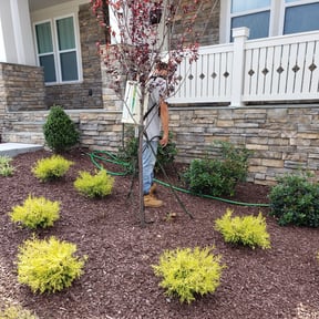 Flower Bed Weeding by M&N Lawncare reviewed on August 18, 2025