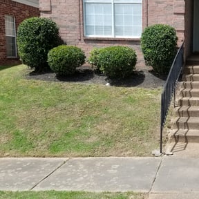 Bush Trimming by Team one lawn service reviewed on August 17, 2025