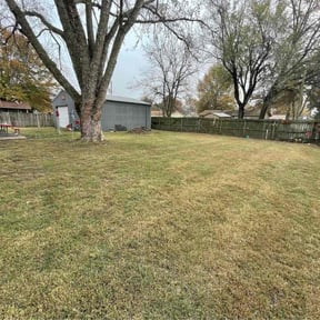 Leaf Removal by Osment Lawn Care reviewed on December 3, 2025