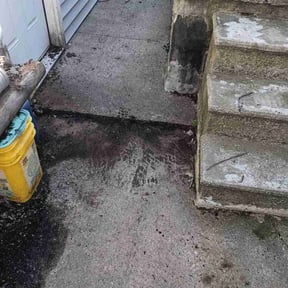 Bush Trimming by Thomas Lawn Care reviewed on August 21, 2025