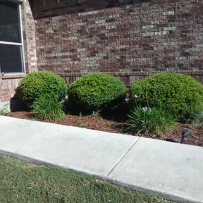 Bush Trimming by I Mow SA reviewed on August 21, 2025