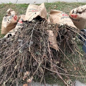 Leaf Removal by Can’t Stop Me Inc. reviewed on November 6, 2025