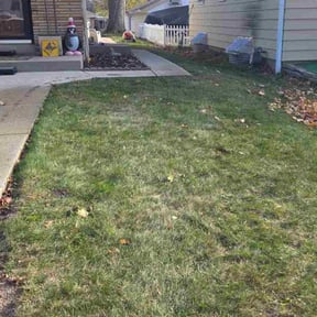 Leaf Removal by Campos Lawn Care reviewed on November 22, 2025
