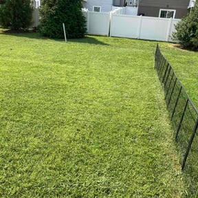 yard service by RG Lawn service reviewed on August 19, 2025
