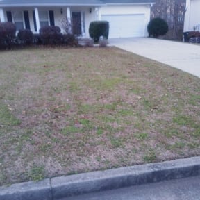 Bush Trimming by Hush Lawn Care Services reviewed on August 18, 2025