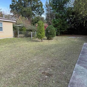 Bush Trimming by RodIsBack Solutions reviewed on November 1, 2023