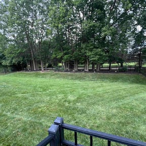 yard maintenance by Blessed Lawn Care Services & Odd Jobs reviewed on August 17, 2025