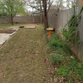 Bush Trimming by Jax Z Landscaping LLC reviewed on August 17, 2025