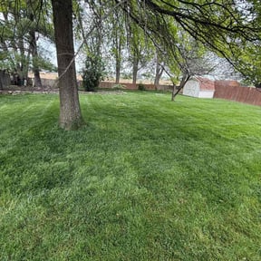 residential landscaping by BG Lawn Services LLC reviewed on December 3, 2025