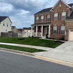 yard work by Magik Compass LLC reviewed on November 30, 2021