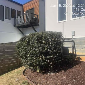 Bush Trimming by All-In Lawncare reviewed on January 22, 2026