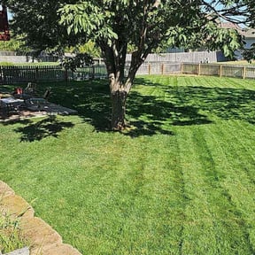 landscaping services by Tim&#039;s Discount Lawn reviewed on November 19, 2025