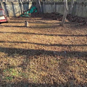 Leaf Removal by Gamboa lawncare reviewed on December 11, 2025