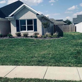 residential landscaping by Otto lawnmower reviewed on August 20, 2025