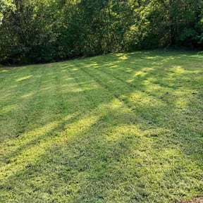 lawn maintenance by E.B. Lawncare LLC reviewed on June 23, 2025