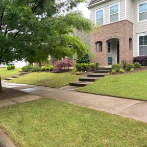 yard maintenance by YardWRX reviewed on December 11, 2025