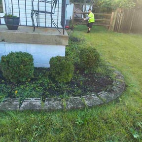 Bush Trimming by No Mow Worries Lawn Care reviewed on October 18, 2025