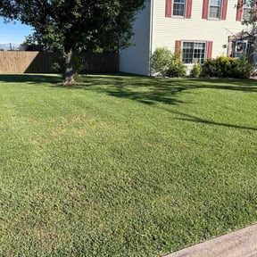 yard work by The Greener Side Landscape Maintenance And Design LLC reviewed on August 21, 2025
