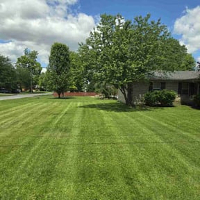 landscape maintenance by Teals Turf Renovations reviewed on August 18, 2025