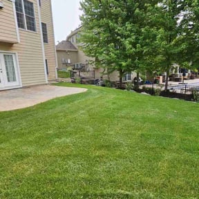 lawn care by BMP reviewed on August 18, 2025