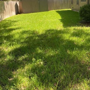 landscape maintenance by Wildflower Lawn Care Company reviewed on February 1, 2026