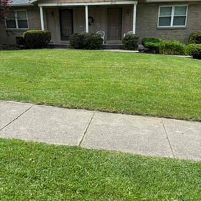 yard care by Landscape Plus reviewed on December 4, 2025