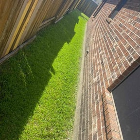 lawn maintenance by Coles Lawn and Landscape reviewed on August 16, 2025