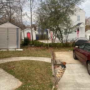 Bush Trimming by Eco Landscape &amp; Design reviewed on August 15, 2025