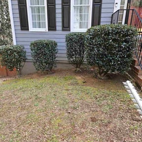 Bush Trimming by De Leon Lawn Care reviewed on March 23, 2026