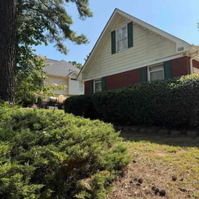 Bush Trimming by All Year Lawn Services reviewed on November 22, 2025