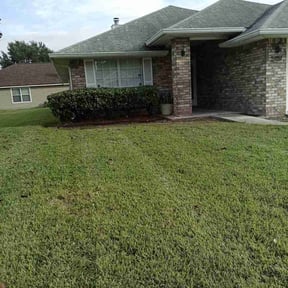 Bush Trimming by P&amp;R lawn service reviewed on October 19, 2025