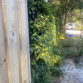 Bush Trimming by Hensley Property Management reviewed on August 16, 2025