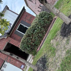 Bush Trimming by GE Lawn Care reviewed on August 15, 2025