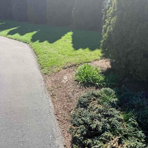 Leaf Removal by Ac Landscaping reviewed on April 27, 2026
