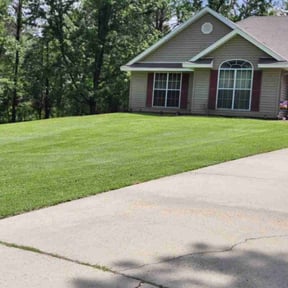 yard care by Grass Care By the Beach reviewed on August 21, 2025