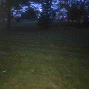 Leaf Removal by T and K Lawn Care reviewed on November 23, 2025