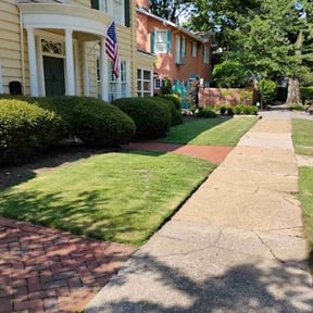 yard work by RodIsBack Solutions reviewed on August 21, 2025