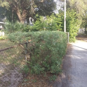 Bush Trimming by R & R Lawn Care Services LLC reviewed on August 16, 2025
