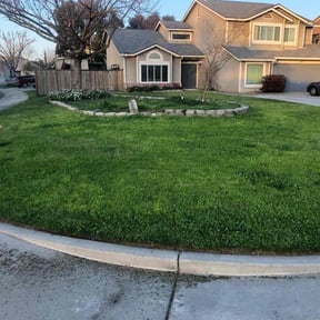 lawn service by 19 Property Landscaping reviewed on August 17, 2025
