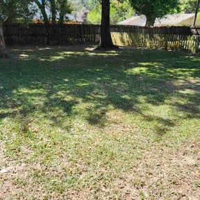 Leaf Removal by 25 And Up Cuts More LLC reviewed on September 6, 2025