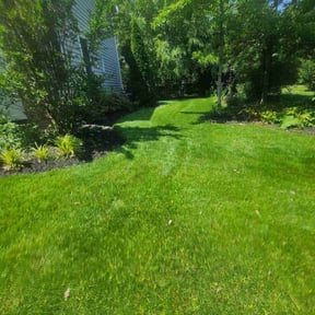 gardening service by MVP Lawn &amp; Landscaping reviewed on November 30, 2025