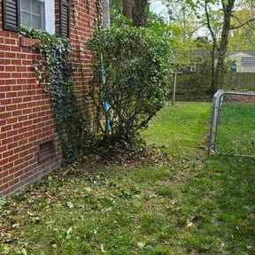 Bush Trimming by A Plus Lawn Care reviewed on April 3, 2026
