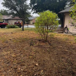 Bush Trimming by Hugo's Lawns reviewed on July 27, 2022