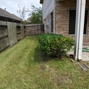 Bush Trimming by Escobar Landscaping reviewed on August 21, 2025