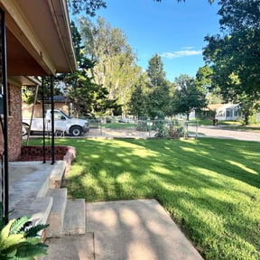 yard service by Impeccable Lawn & Tree reviewed on August 16, 2025